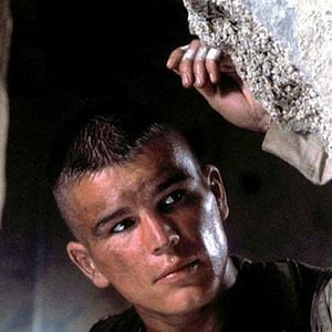 Fotoğraf Kara Şahin Düştü