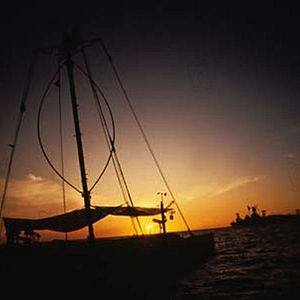 Fotoğraf Kevin Reynolds