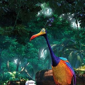 Fotoğraf Yukarı Bak