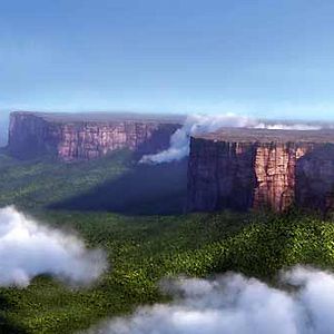 Fotoğraf Bob Peterson