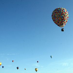 Fotoğraf Bob Peterson