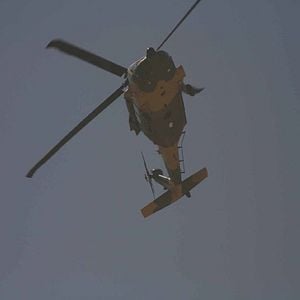 Fotoğraf Ölümcül Tuzak