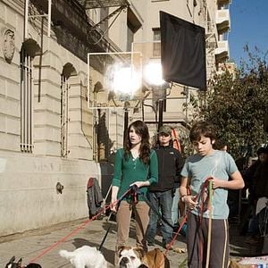 Fotoğraf Köpek Oteli