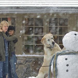 Fotoğraf David Frankel