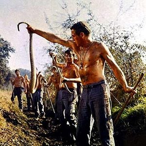 Fotoğraf Parmaklıklar Arasında