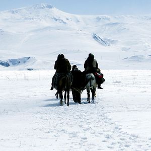 Fotoğraf Arash T. Riahi