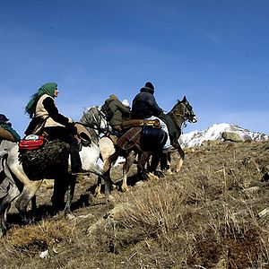 Fotoğraf Arash T. Riahi