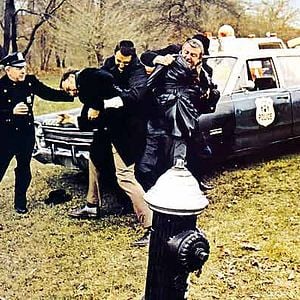 Fotoğraf Kanunun Kuvveti