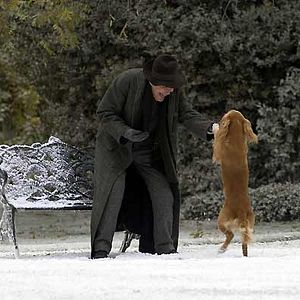 Fotoğraf Peter O'Toole
