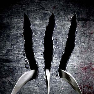 Fotoğraf Gavin Hood