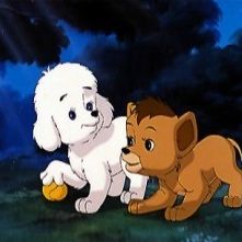 Fotoğraf Simba il Re Leone