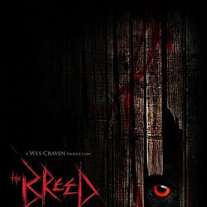 Fotoğraf Nicholas Mastandrea