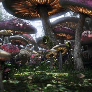 Fotoğraf Alis Harikalar Diyarında