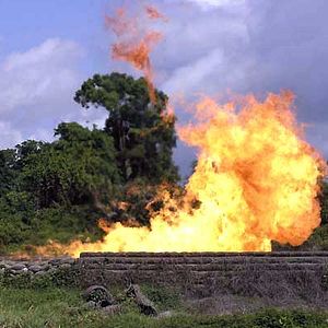 Fotoğraf Franny Armstrong