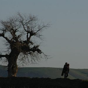 Fotoğraf Samira Makhmalbaf