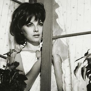 Fotoğraf Pietro Germi