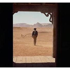 Fotoğraf Çöl Aslanı