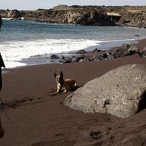 Fotoğraf Kabuslar Adası