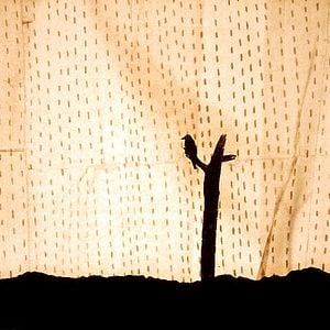 Fotoğraf Johannes Nyholm