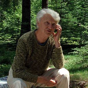 Fotoğraf Michel Gondry