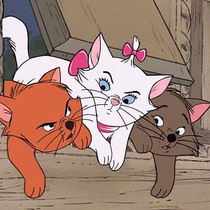 Fotoğraf Aristokediler