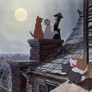 Fotoğraf Aristokediler