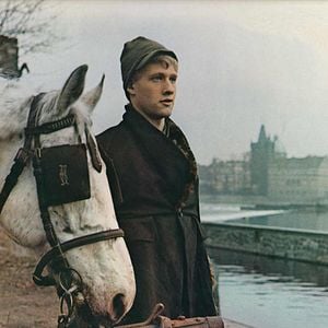 Fotoğraf Mezbaha No.5