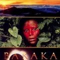 Fotoğraf Baraka
