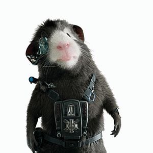 Fotoğraf Hoyt Yeatman