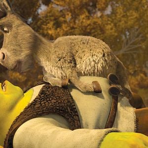 Fotoğraf Mike Mitchell (V)