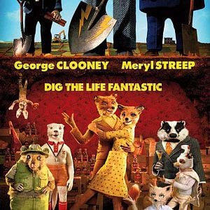 Fotoğraf Yaman Tilki