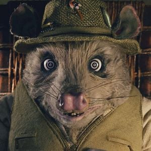 Fotoğraf Yaman Tilki