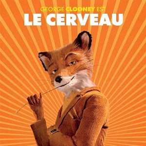 Fotoğraf Yaman Tilki