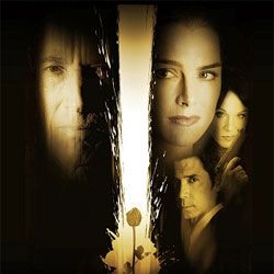 Fotoğraf Gone But Not Forgotten