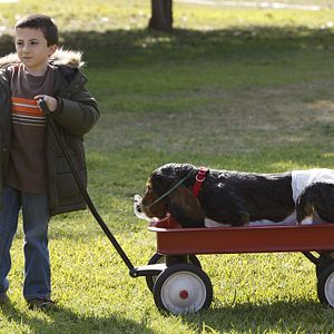 Fotoğraf Atticus Shaffer