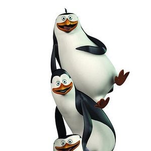 Fotoğraf The Penguins of Madagascar