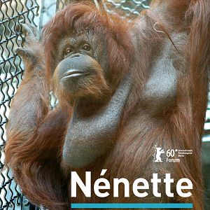 Fotoğraf Nicolas Philibert