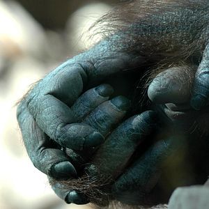 Fotoğraf Nicolas Philibert