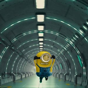 Fotoğraf Pierre Coffin