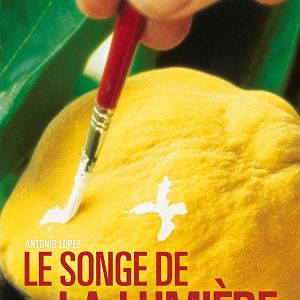 Fotoğraf Ayva Ağacı Güneşi