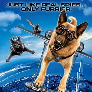 Fotoğraf Brad Peyton