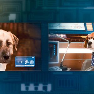 Fotoğraf Kevin Lima