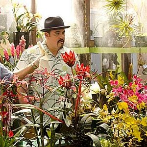 Fotoğraf Yvonne Strahovski