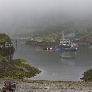 Fotoğraf İlahların Aşkı