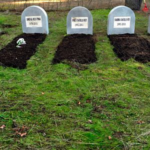 Fotoğraf Angie Cepeda