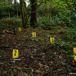 Fotoğraf Joe Lawlor