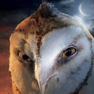 Fotoğraf Baykuş Krallığı Efsanesi