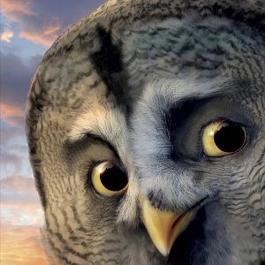 Fotoğraf Baykuş Krallığı Efsanesi