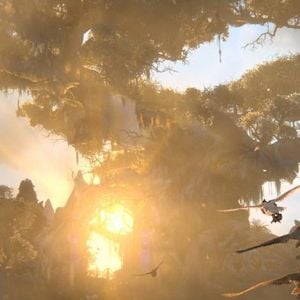 Fotoğraf Baykuş Krallığı Efsanesi