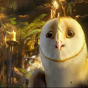 Fotoğraf Baykuş Krallığı Efsanesi